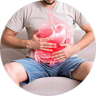 Digestives Product Range