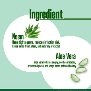 Multani Naturals Hand Wash Neem & Aloe Vera | Clean Hands,| Refreshing feel with Purifying Neem & Soothing touch of Aloe Vera | 99.9% Germ Protection |
