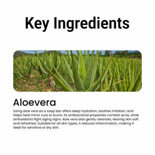 Multani Naturals Aloe Vera Soap I  Ayurvedic Bath Soap for Men & Women | Handmade Herbal Soap Bar with Aloe Vera Extracts | Glycerin & Essential Oils I Helps Skin Moisturize & Hydrate, Heal & Repair and Soften & Revitalize with Every Use