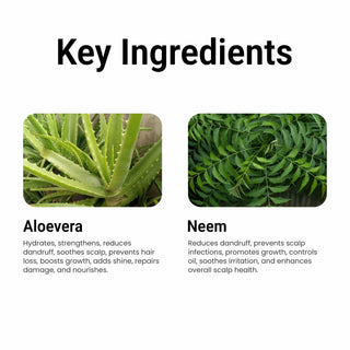 Multani Naturals Neem & Aloe Vera Shampoo | Anti-Dandruff & Scalp Cooling | Strengthens Hair Roots | Supports Scalp Health| SLS & Paraben Free | Dermatologically Tested| For All Hair Types
