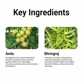 Multani Naturals Amla & Bhringraj Hair Care Combo (270 ML Each) – Shampoo & Conditioner | Anti-Hair Fall | SLS & Paraben Free