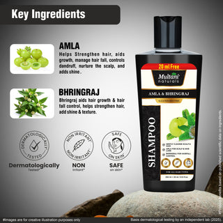 Multani Naturals Amla & Bhringraj Shampoo | Hair Growth, Dandruff Control & Scalp Irritation Relief | Paraben & SLS Free | Dermatologically Tested | 270ml