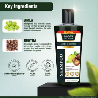 Multani Naturals Complete Winter Care Combo – Shampoo, Conditioner, Face Wash, Hair Oil & Sunscreen