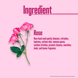 Multani Naturals Rose Hand Wash |Clean Hands,| Refreshing feel with the soothing fragrance of Rose | 99.9% Germ Protection|