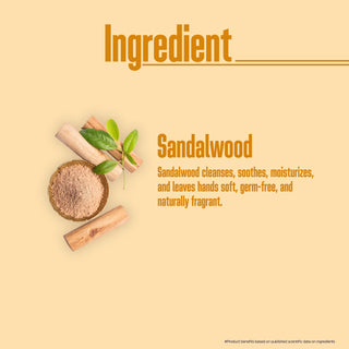 Multani Naturals Hand Wash Sandalwood | Clean Hands,| Refreshing feel with the soothing fragrance of Sandalwood | 99.9% Germ Protection