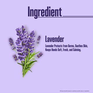 Multani Naturals Lavender Hand Wash | Gentle Hand Cleanser with Natural Ingredients | Germ Protection Liquid Hand Wash