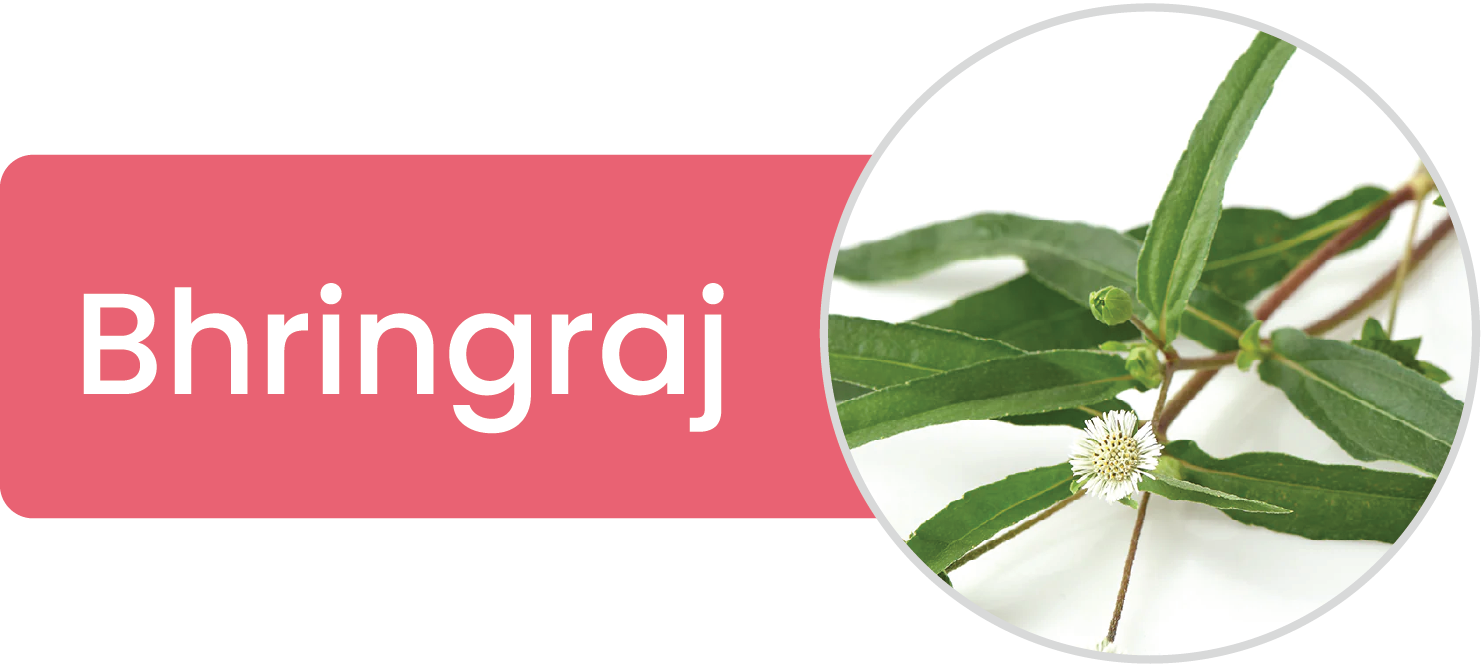Bhringraj