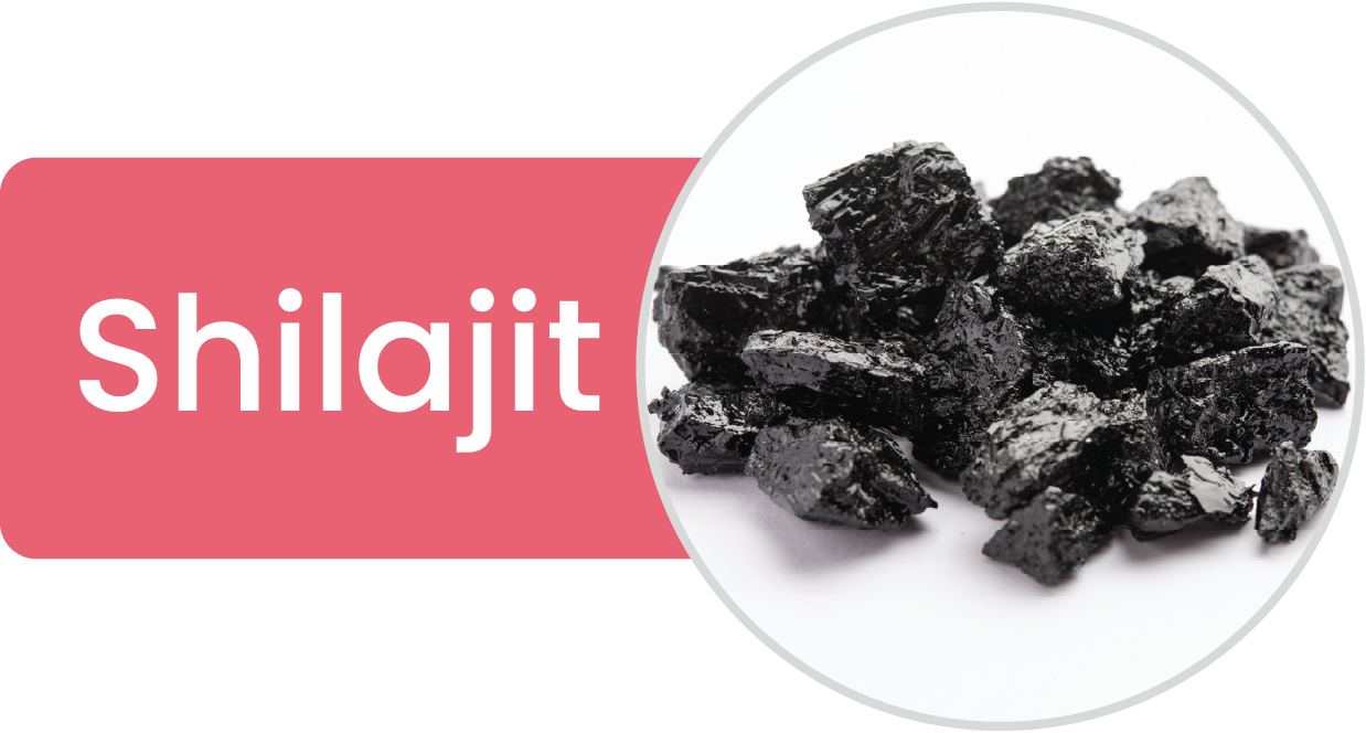 Shilajit