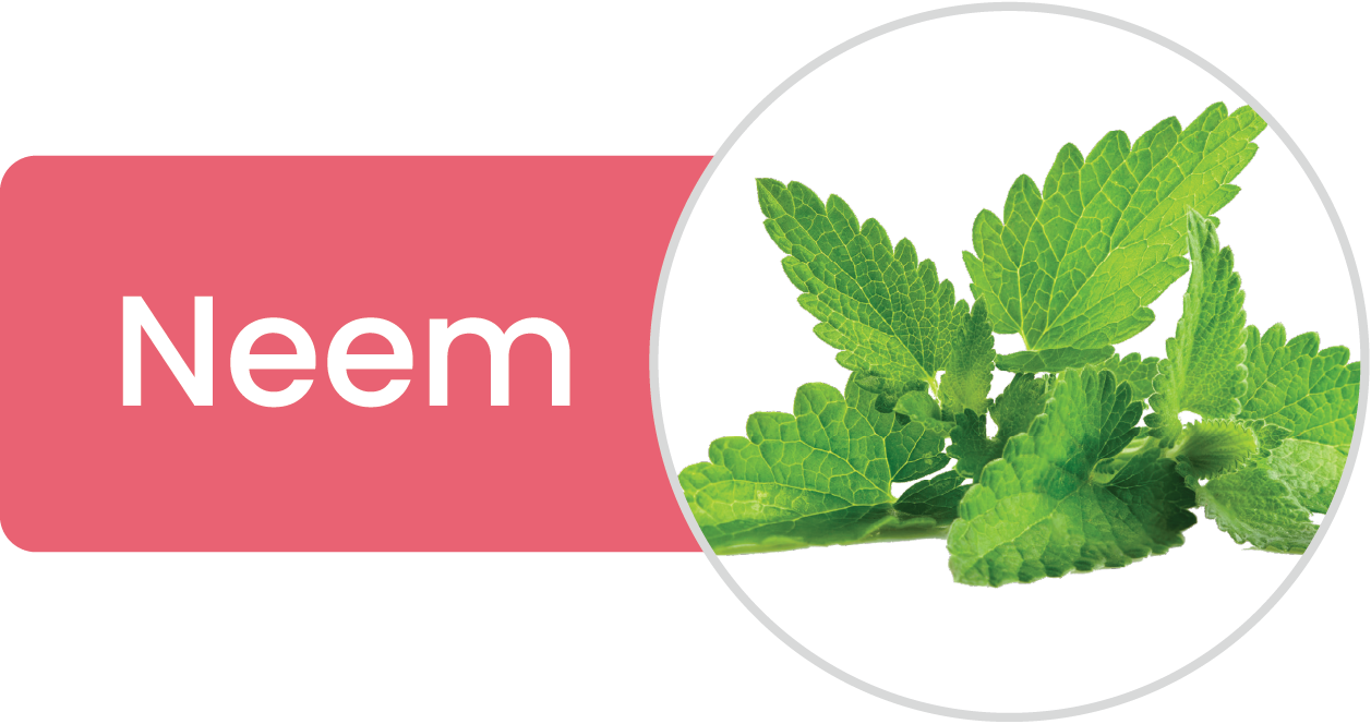 Neem