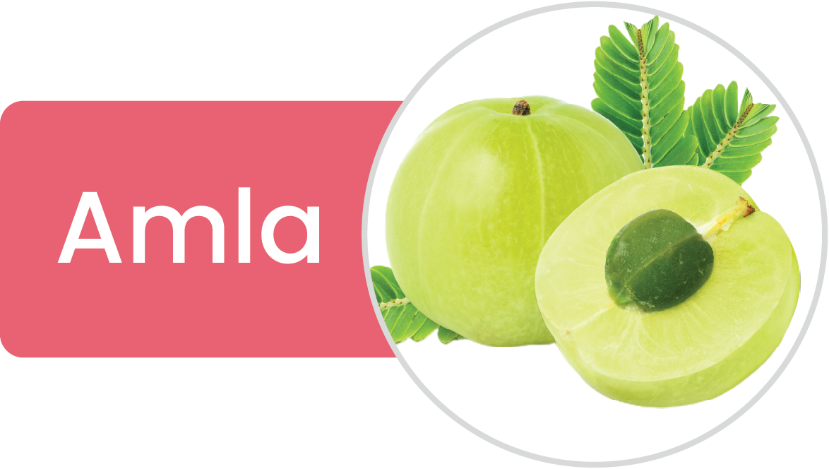 Amla
