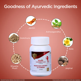 Multani Shilajeet Gold Capsule & Nookee Plus Capsule Combo – Ayurvedic Strength, Energy & Vitality Booster