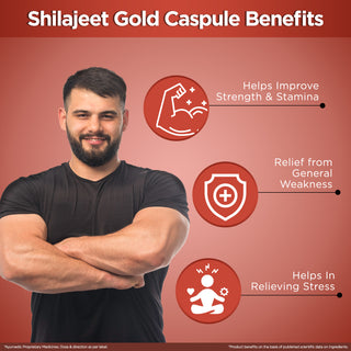 Multani Powerhouse Shilajit Resin + Gold Capsules