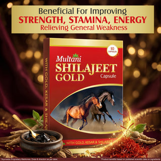 Immunity Booster Combo | Shilajit Gold, Chyawanprash & Ashwagandha for Strength, Stamina & Daily Wellness